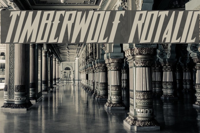 Timberwolf Rotalic Font examples