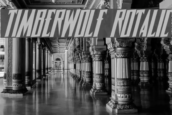 Timberwolf Rotalic Font examples