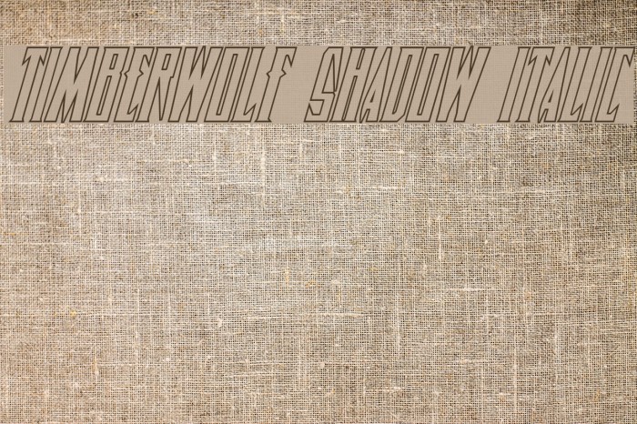 Timberwolf Shadow Italic Example 1