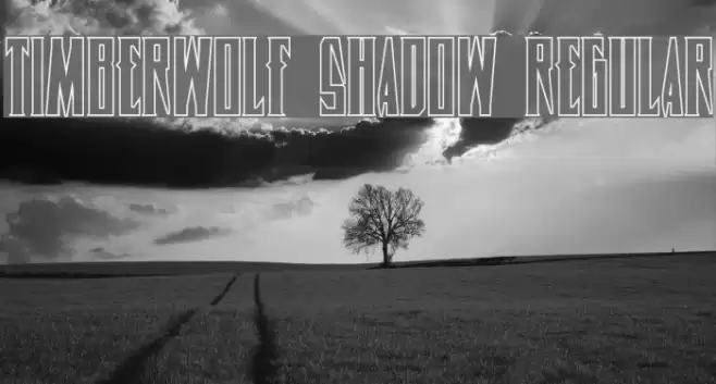 Timberwolf Shadow Regular Font examples