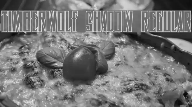 Timberwolf Shadow Regular Font examples
