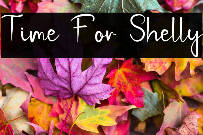 Time For Shelly Example 3