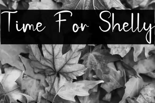 Time For Shelly Font examples