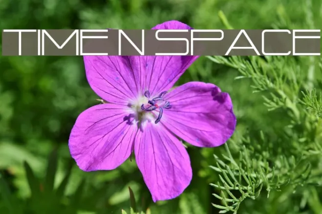 Time N Space Example 2