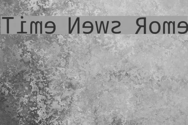Time News Rome Font examples