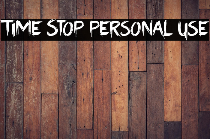 Time Stop Personal Use Example 1