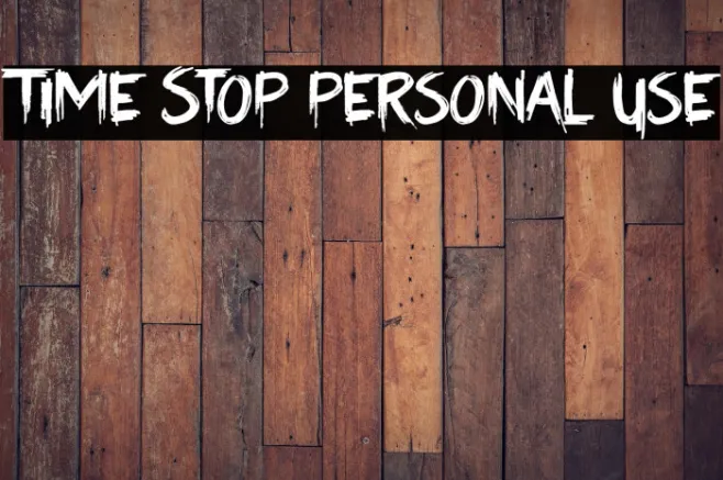 Time Stop Personal Use Example 1