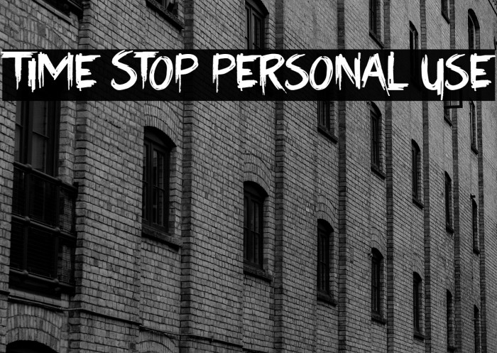 Time Stop Personal Use Example 2