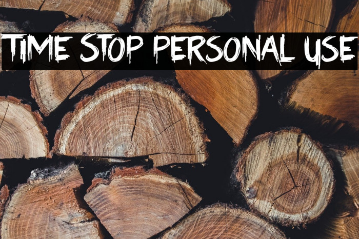 Time Stop Personal Use Example 3