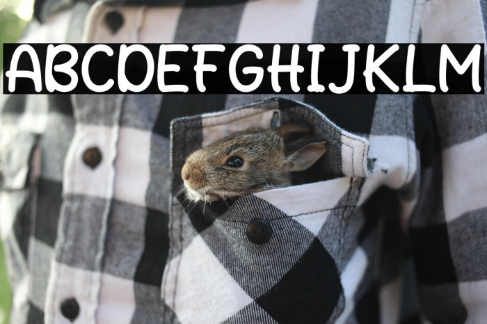 Time to Picnic Example 3