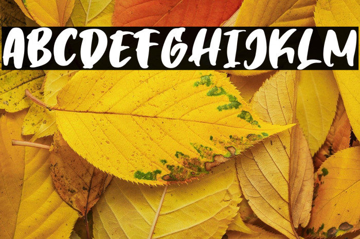 TimeBreaker Example 2