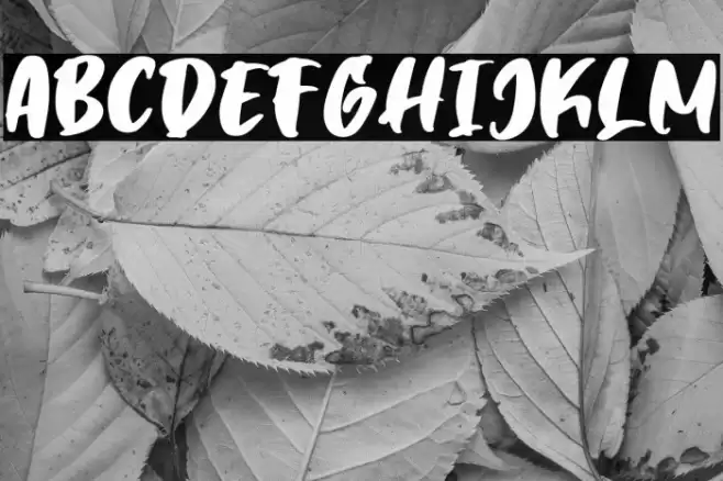 TimeBreaker Font examples