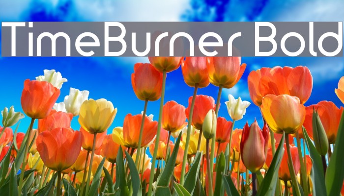 TimeBurner Bold Example 1