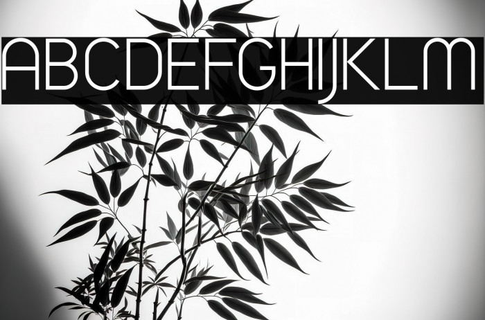 TimeBurner Example 3