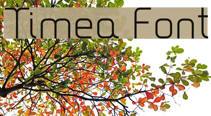 Timea Font examples