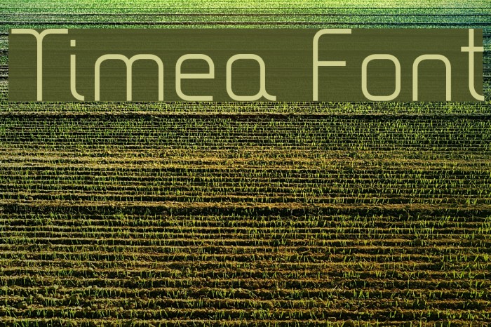 Timea Font examples