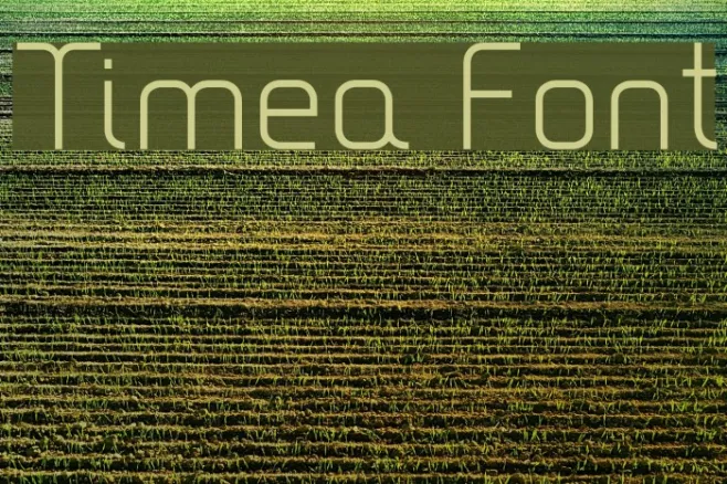 Timea Example 2