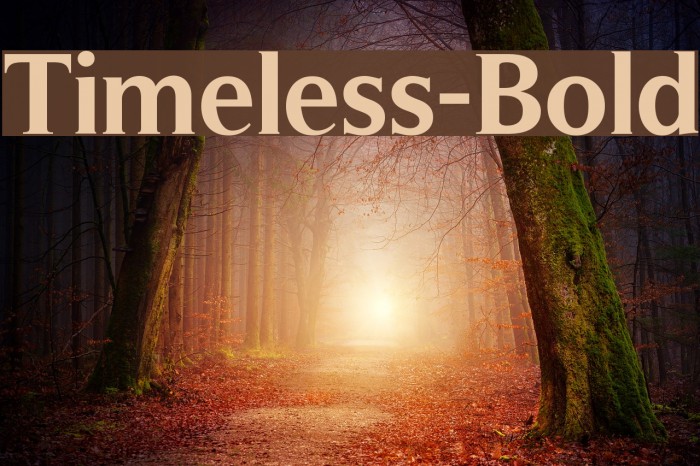 Timeless-Bold Font examples