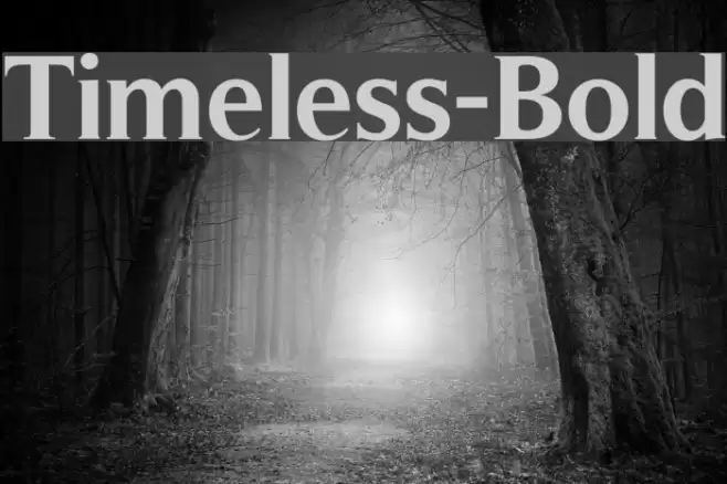 Timeless-Bold Font examples