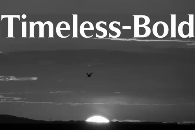 Timeless-Bold Font examples