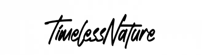 Timeless Nature Font