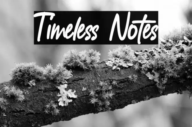 Timeless Notes Font examples