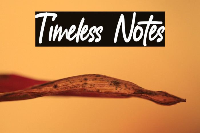 Timeless Notes Example 3