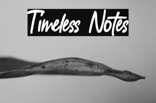 Timeless Notes Font examples
