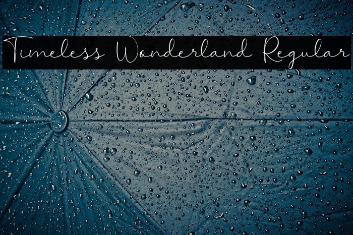 Timeless Wonderland Regular Example 1