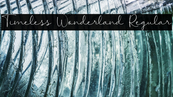 Timeless Wonderland Regular Example 2