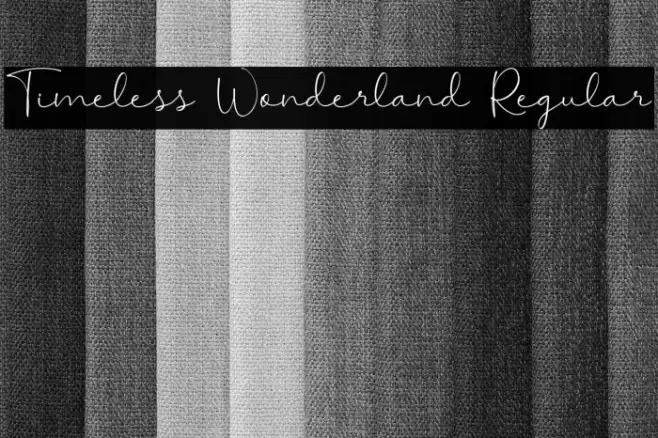 Timeless Wonderland Regular Polices examples
