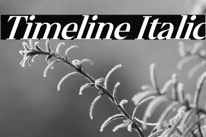 Timeline Italic Font examples