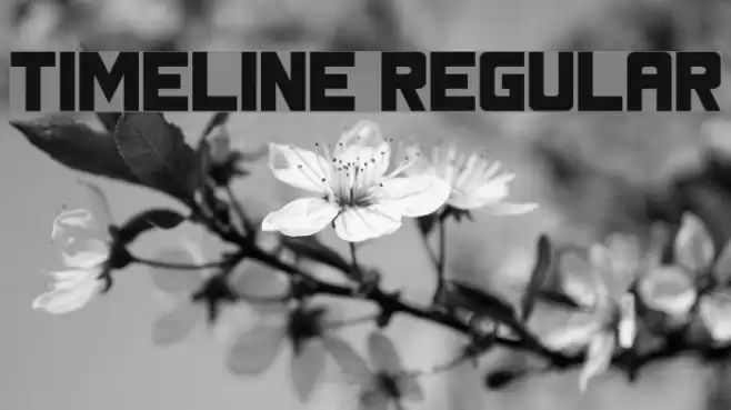 Timeline Regular Font examples