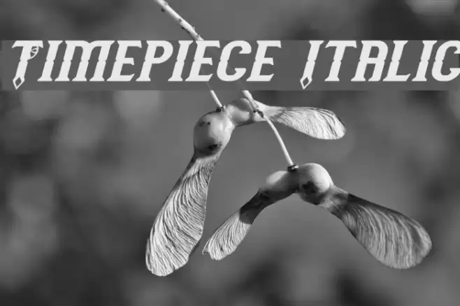 Timepiece Italic Font examples