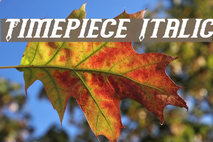 Timepiece Italic Example 3