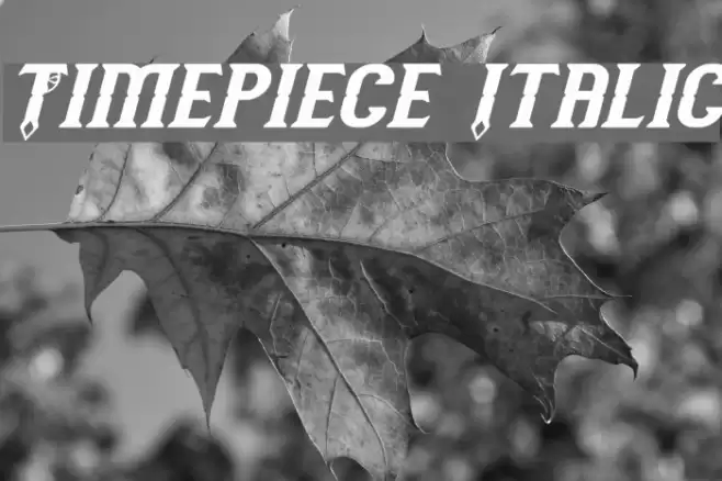 Timepiece Italic Font examples
