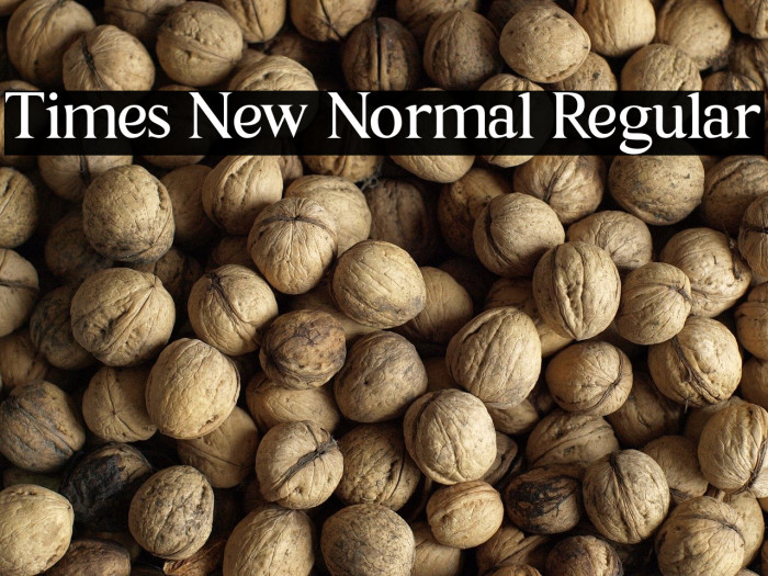 Times New Normal Regular Example 1