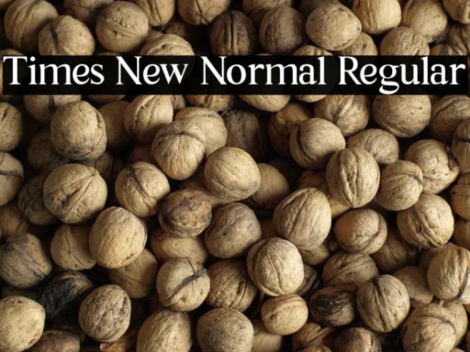 Times New Normal Regular Example 1