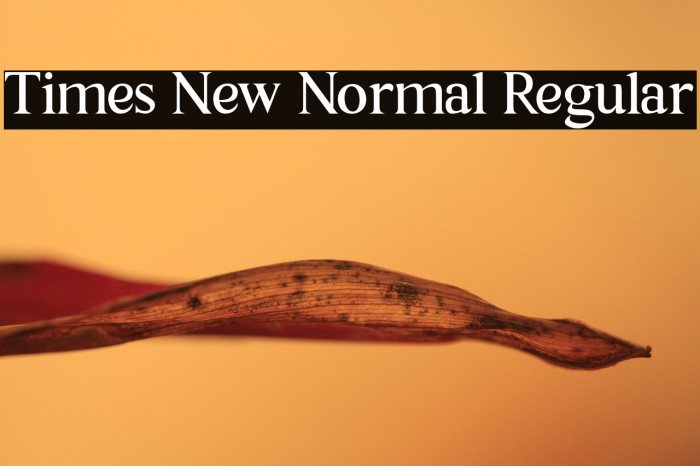 Times New Normal Regular Example 2