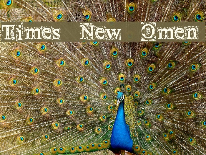 Times New Omen Font examples