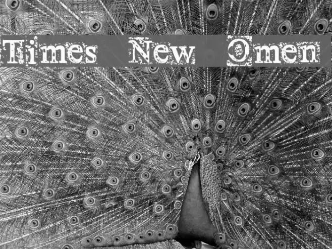 Times New Omen Font examples