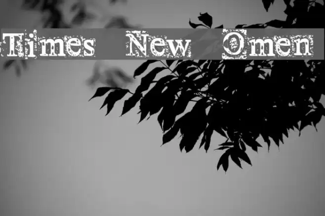 Times New Omen Font examples