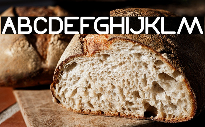 Times New Romance Bold Example 1