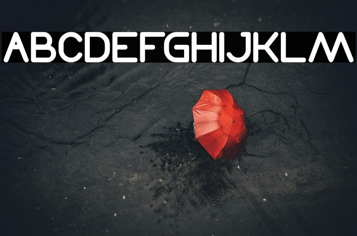 Times New Romance Bold Example 2