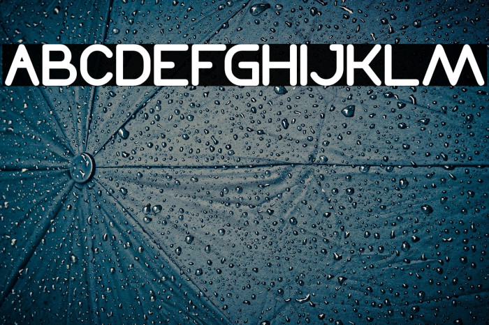 Times New Romance Bold Example 3