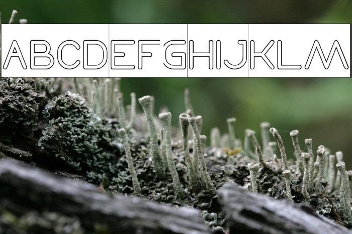 Times New Romance-Hollow-Invers Example 1