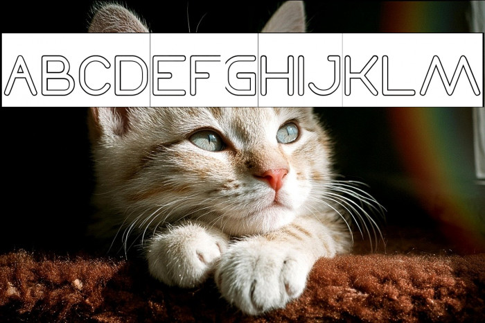 Times New Romance-Hollow-Invers Example 3