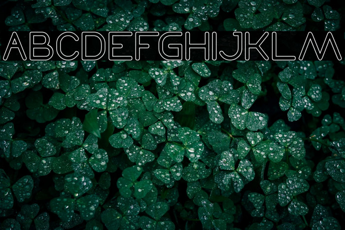 Times New Romance-Hollow Example 2