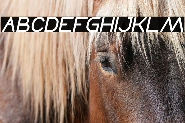 Times New Romance Italic Example 1