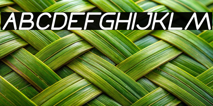 Times New Romance Italic Example 2